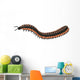 Arthropleura Side Profile Wall Decal