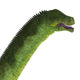 Puertasaurus Dinosaur Head Wall Decal