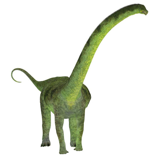 Puertasaurus Dinosaur White Wall Decal Design 2