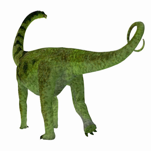 Puertasaurus Dinosaur White Wall Decal Design 1