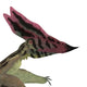 Thalassodromeus Pterosaur Headshot Wall Decal