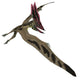 Thalassodromeus Pterosaur Flight Wall Decal