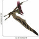 Thalassodromeus Pterosaur Flight Wall Decal