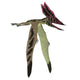 Thalassodromeus Pterosaur White Wall Decal