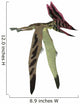 Thalassodromeus Pterosaur White Wall Decal