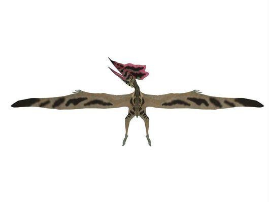 Wingspan Thalassodromeus Pterosaur Wall Decal
