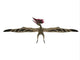 Wingspan Thalassodromeus Pterosaur Wall Decal