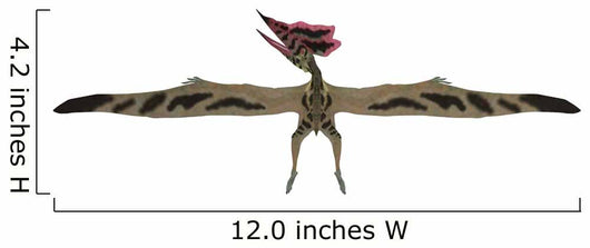 Wingspan Thalassodromeus Pterosaur Wall Decal