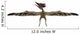 Wingspan Thalassodromeus Pterosaur Wall Decal