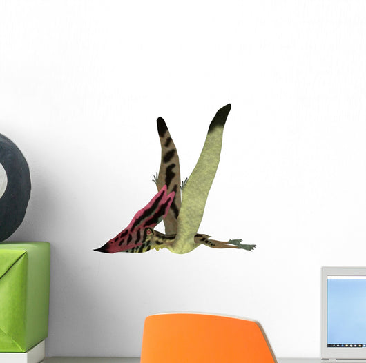 Thalassodromeus Pterosaur Side Wall Decal