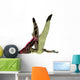 Thalassodromeus Pterosaur Side Wall Decal