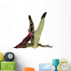 Thalassodromeus Pterosaur Side Wall Decal