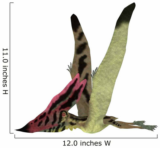 Thalassodromeus Pterosaur Side Wall Decal