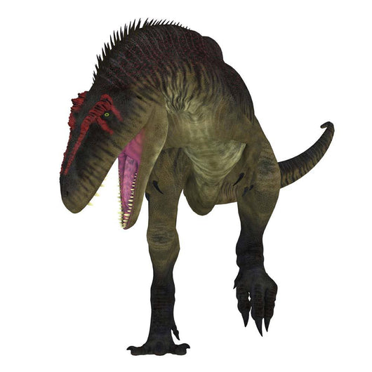 Tyrannotitan Dinosaur White Wall Decal Design 3