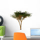 Umbrella Thorn Acacia Tree Wall Decal
