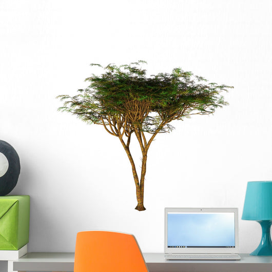 Umbrella Thorn Acacia Tree Wall Decal