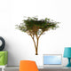 Umbrella Thorn Acacia Tree Wall Decal