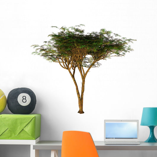 Umbrella Thorn Acacia Tree Wall Decal