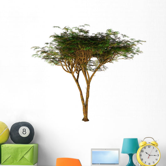 Umbrella Thorn Acacia Tree Wall Decal