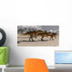 Acrocanthosaurus Theropod Dinosaurs Search Wall Decal