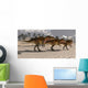 Acrocanthosaurus Theropod Dinosaurs Search Wall Decal