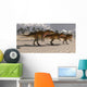 Acrocanthosaurus Theropod Dinosaurs Search Wall Decal