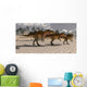 Acrocanthosaurus Theropod Dinosaurs Search Wall Decal