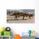 Acrocanthosaurus Theropod Dinosaurs Search Wall Decal