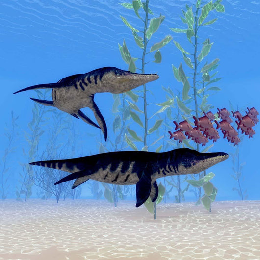 Two Liopleurodon Marine Reptiles Wall Decal