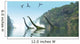 Two Adult Mamenchisaurus Dinosaurs Wall Decal