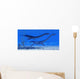 Plesiosaurus Dinosaurs Swim Together Wall Decal Design 2