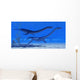 Plesiosaurus Dinosaurs Swim Together Wall Decal Design 2