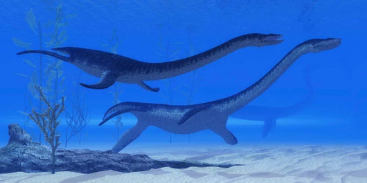Plesiosaurus Dinosaurs Swim Together Wall Decal Design 2