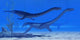 Plesiosaurus Dinosaurs Swim Together Wall Decal Design 2