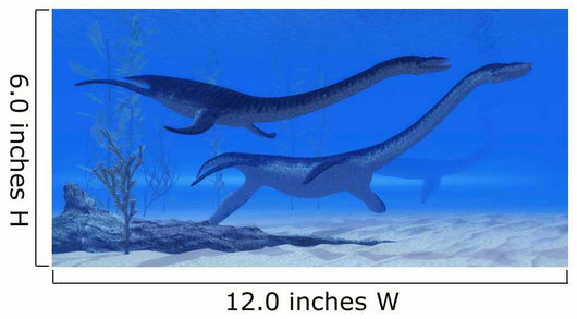 Plesiosaurus Dinosaurs Swim Together Wall Decal Design 2