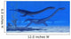 Plesiosaurus Dinosaurs Swim Together Wall Decal Design 2