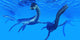 Plesiosaurus Dinosaurs Swim Together Wall Decal Design 1