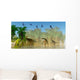 Flock Dorygnathus Fly over Wall Decal