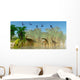 Flock Dorygnathus Fly over Wall Decal