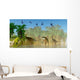 Flock Dorygnathus Fly over Wall Decal
