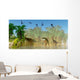 Flock Dorygnathus Fly over Wall Decal