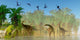 Flock Dorygnathus Fly over Wall Decal