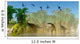 Flock Dorygnathus Fly over Wall Decal