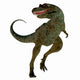 Albertosaurus Dinosaur White Wall Decal Design 2