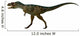 Albertosaurus Dinosaur Side Profile Wall Decal