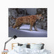 Saber-toothed Tiger Makes His Wall Decal