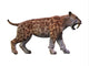 Saber-toothed Tiger White Wall Decal