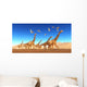 Flock Thalassodromeus Reptiles Fly Wall Decal