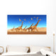 Flock Thalassodromeus Reptiles Fly Wall Decal