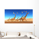 Flock Thalassodromeus Reptiles Fly Wall Decal